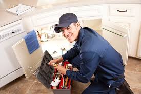 Best Green Plumbing Solutions and Water Conservation  in Cornish, ME